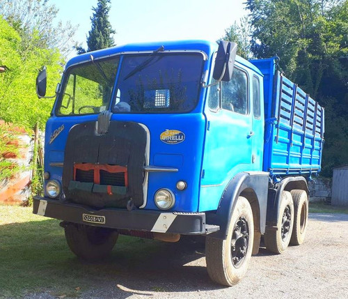 391746889 859227639243202 5851636075910930852 n.jpg