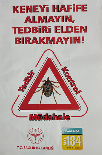 IMG 20230609 151227.jpg