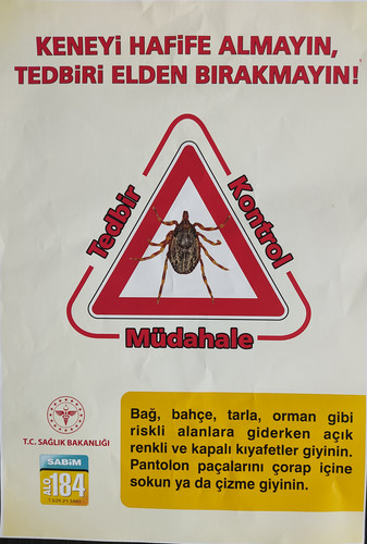 IMG 20230609 151155.jpg