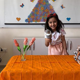 WhatsApp Image 2023 05 16 at 15.41.14