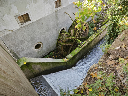 IMG 20231023 121558.jpg