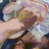 无情的面包毁灭机器.gif