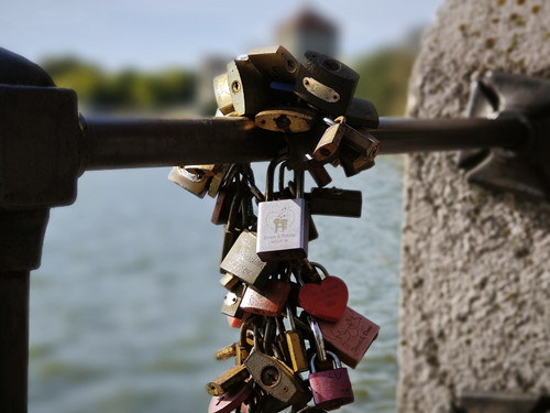 IMG 20231023 121137.jpg