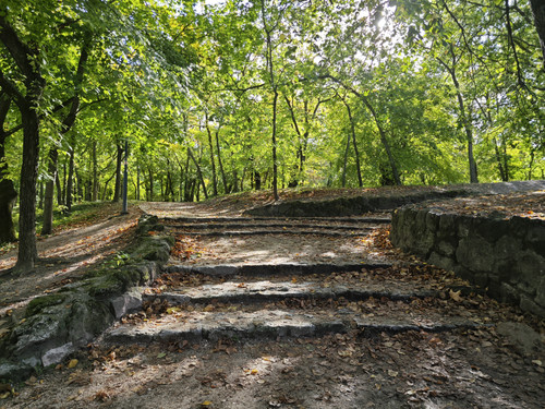 IMG 20231023 112914.jpg