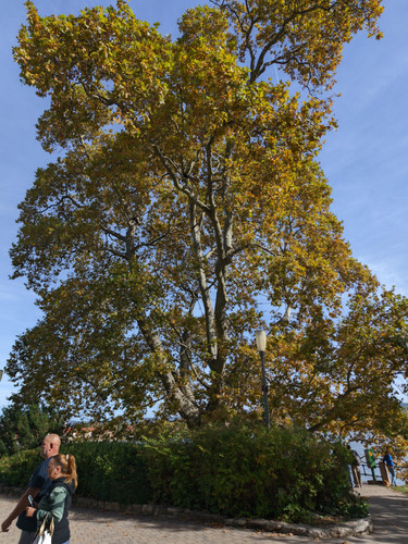 AGC 20231023 131559107.jpg