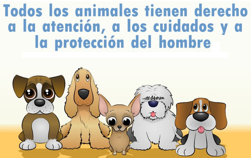 panimalitos.jpg