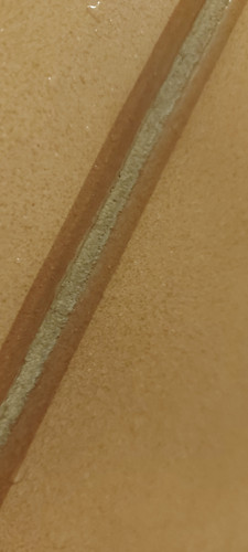 2023 10 2622.08.282780960056516925768.jpg