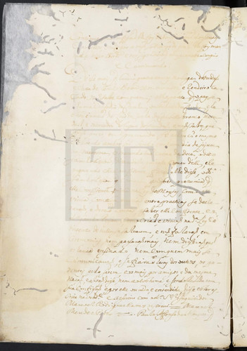 PT TT TSO IC 025 09478 m0024 derivada.jpg