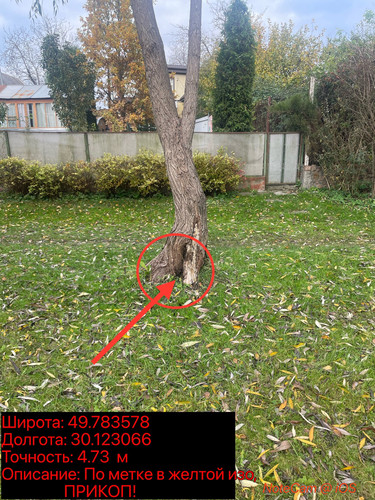 IMG 3447.jpg