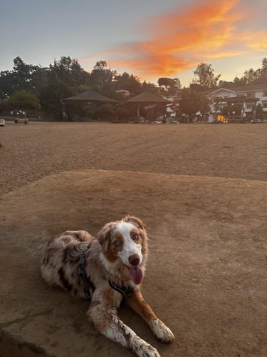 s5m6rdi4vkwb1 copy.jpg