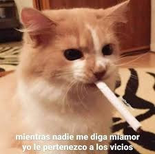 descarga (21).jpg