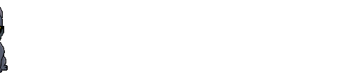 LOGO RUBY8000.gif