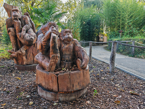 IMG 20231023 164730.jpg