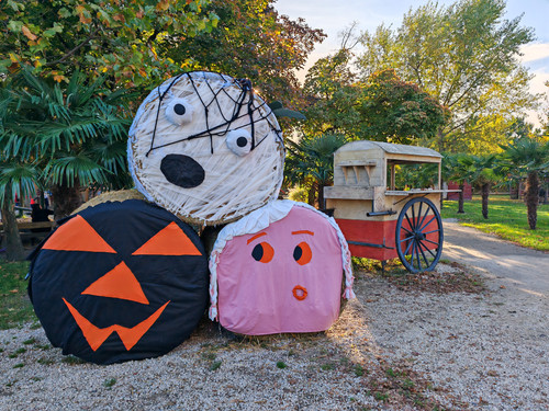 IMG 20231023 161934.jpg