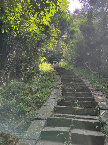 IMG20230924102625.jpg