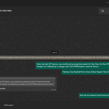 JP9517320382