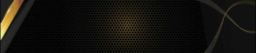 2 (1).gif