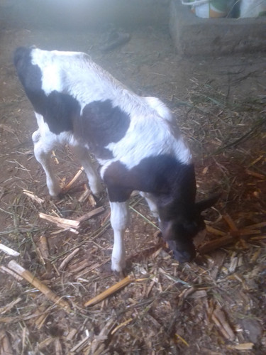 IMG ٢٠٢٣٠٩١٤ ١٣٤٥١٥.jpg