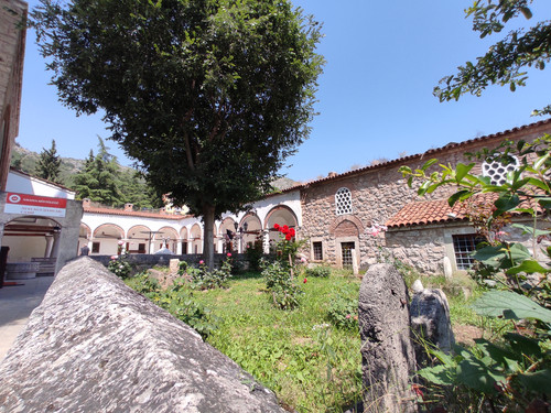 IMG 20230617 103401.jpg