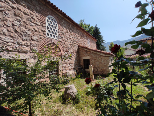 IMG 20230617 103503.jpg