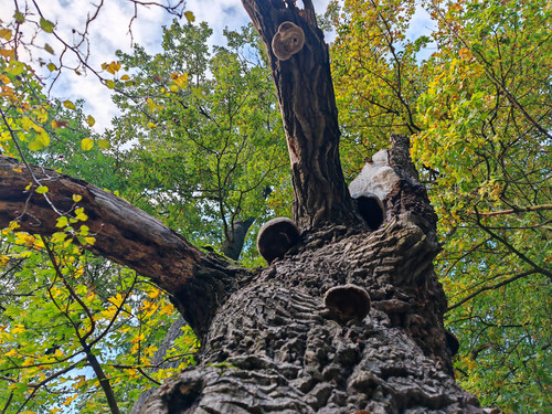 IMG 20231022 162029.jpg