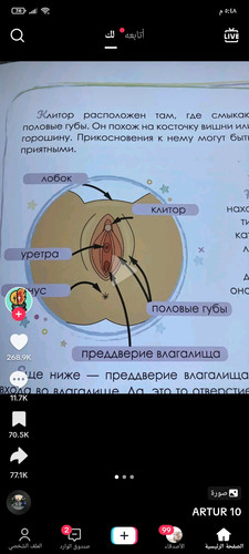 Screenshot ٢٠٢٣ ١٠ ١١ ١٧ ٤٨ ١٨ ٠٩٧ com.zhiliaoapp.musically.jpg
