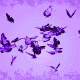 mujer34.gif