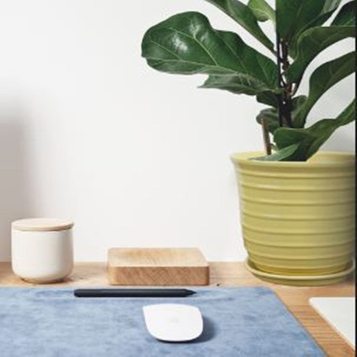 imported ceramic pots.jpg