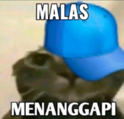 undefined.jpg