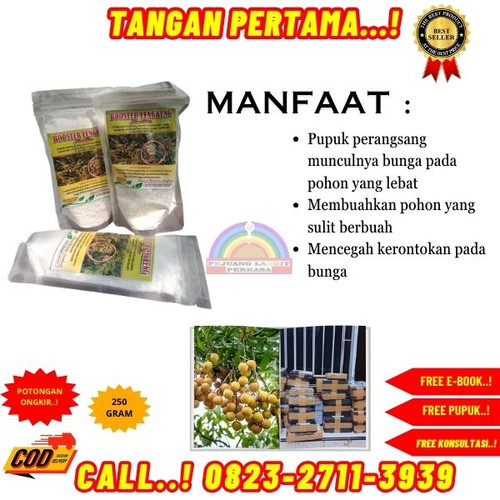 PENJUAL AMANAH! H.Tovix CALL 0823-2711-3939 Jual Booster Kelengkeng Kclo3 ke Kebumen-Ayah-Argopeni.jpg