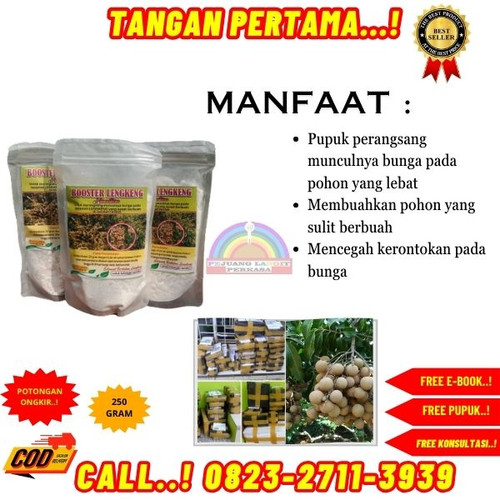 TERMURAH! H.Tovix CALL 0823-2711-3939 Jual Booster Kelengkeng Nusantara ke Kebumen-Ayah-Ayah.jpg
