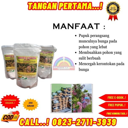 TERLARIS! H.Tovix CALL 0823-2711-3939 Jual Booster Kelengkeng Nongfeng ke Kebumen-Ayah-Banjararjo.jpg