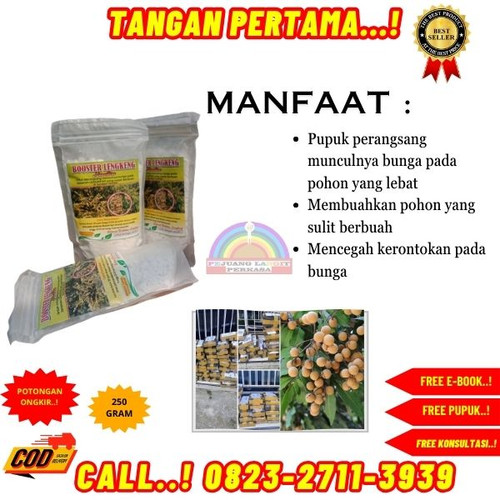 KARUNGAN! H.Tovix CALL 0823-2711-3939 Jual Pupuk Cair Untuk Pembuahan ke Kebumen-Ambal-Surobayan.jpg