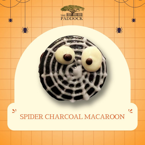 WhatsApp Image 2023 10 25 at 10.36.50 PM (1).jpg