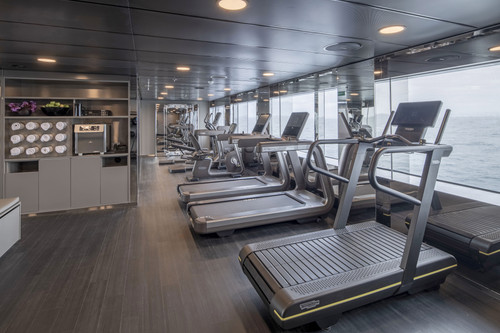 Scenic Eclipse Power Gym 3.jpg