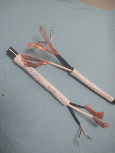 IMG 20231023 110101971.jpg