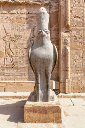 143833003 le dieu faucon horus au temple d edfou situé sur la rive ouest du nil edfou haute egypte.jpg
