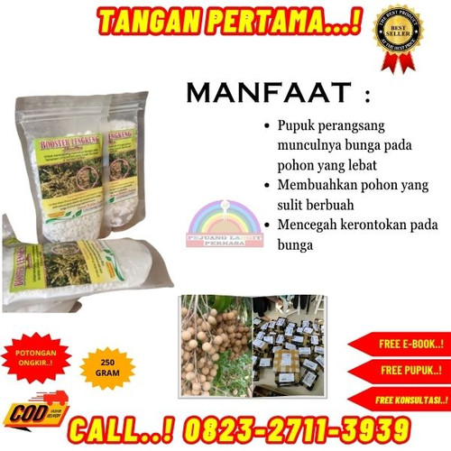 LANGSUNG SUPPLIER! H.Tovix CALL 0823-2711-3939 Jual Booster Kelengkeng Terbaik ke Kebumen-Ayah-Candi.jpg