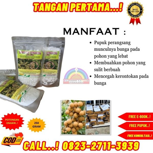 TER-AMPUH ! H.Tovix CALL 0823-2711-3939 Jual Booster Kelengkeng Nasa ke Kebumen-Ayah-Bulurejo.jpg