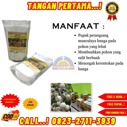 HARGA GROSIR! H.Tovix CALL 0823-2711-3939 Jual Booster Kelengkeng Tabulampot ke Kebumen-Ayah-Demangs.jpg
