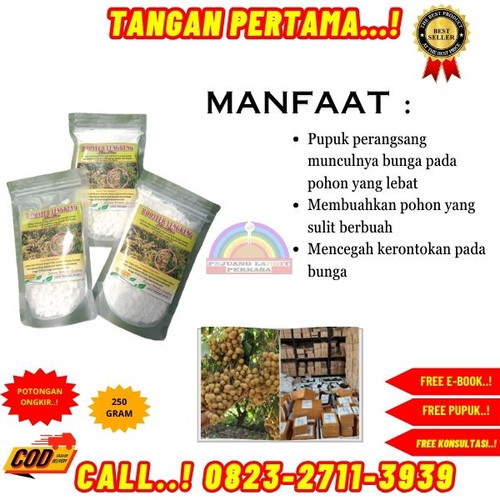 TERPERCAYA! H.Tovix CALL 0823-2711-3939 Jual Pupuk Cair Untuk Pembuahan ke Kebumen-Ayah-Jintung.jpg