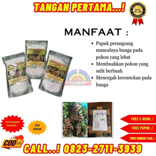 BISA COD! H.Tovix CALL 0823-2711-3939 Jual Booster Kelengkeng Yang Bagus ke Kebumen-Ayah-Jatijajar.jpg