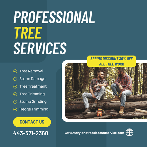 Tree Service Anne Arundel County | Marylandtreediscountservice.com.png
