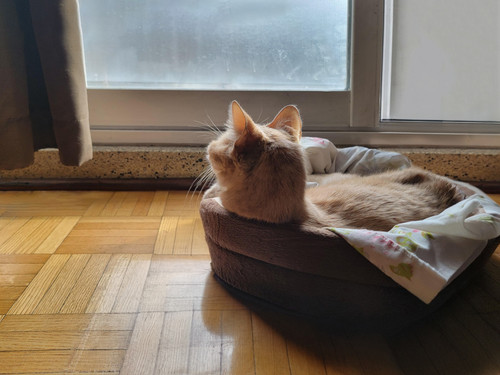 th9uelnctbwb1 copy.jpg