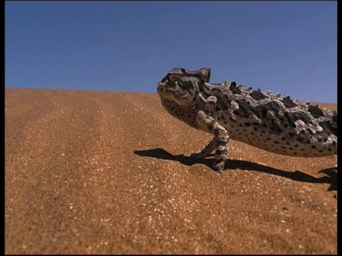 vlcsnap 2023 10 23 16h26m04s891.png