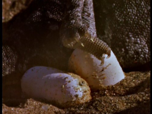 vlcsnap 2023 10 23 16h25m58s207.png