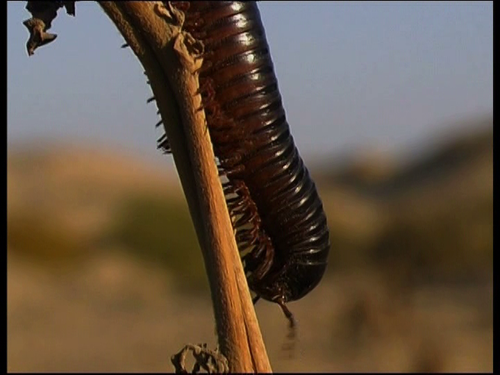 vlcsnap 2023 10 23 16h26m30s594.png