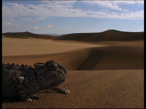 vlcsnap 2023 10 23 16h25m52s794.png