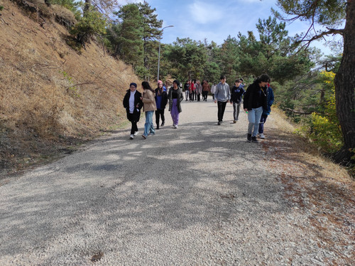 IMG 20231010 110251.jpg