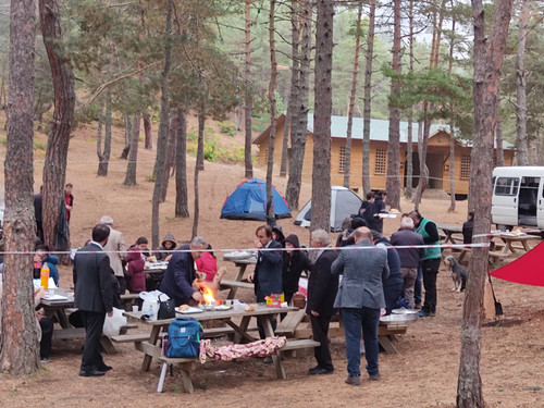 IMG 20231011 153728.jpg